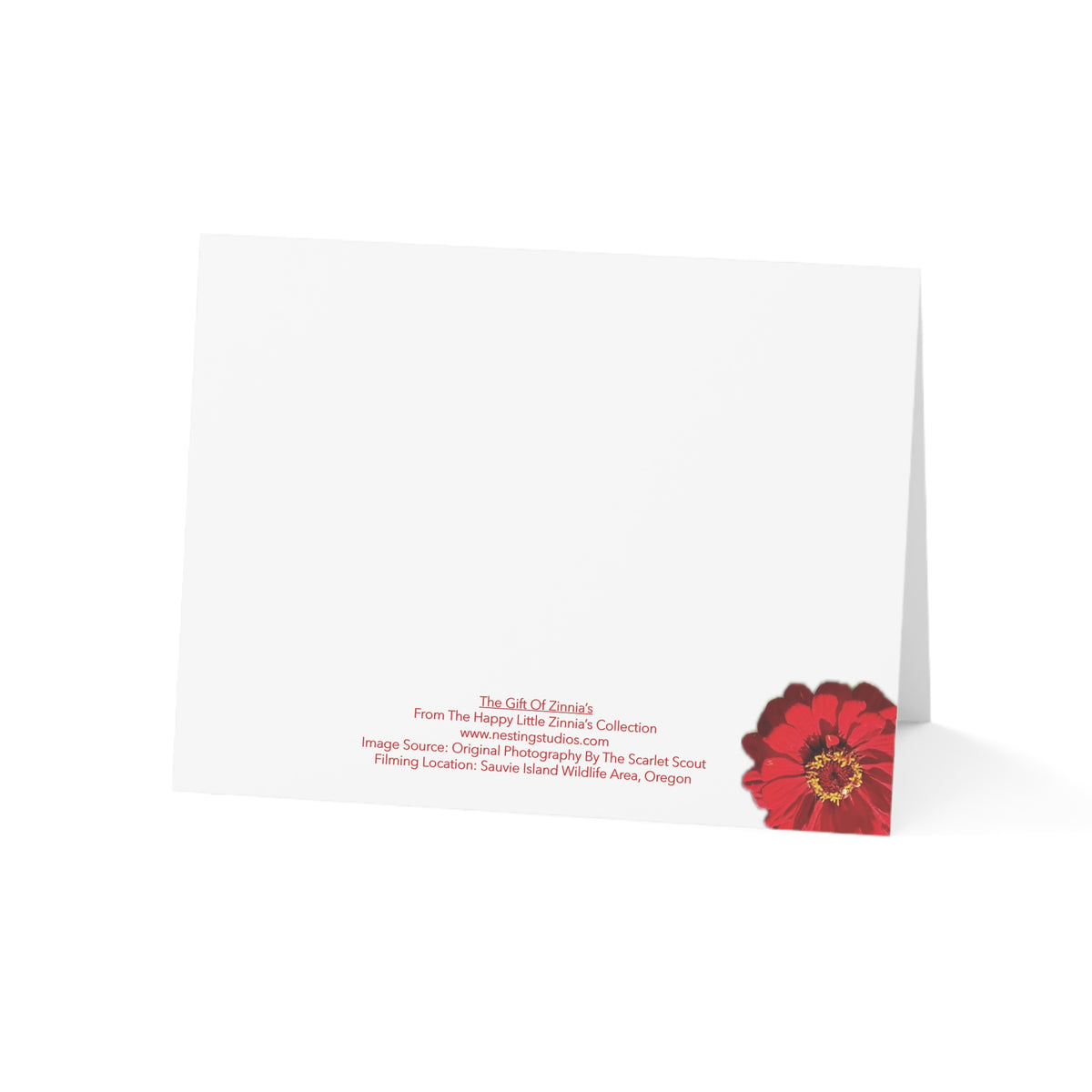 Festive Elegance Greeting Cards (1, 10, 30, and 50pcs)
