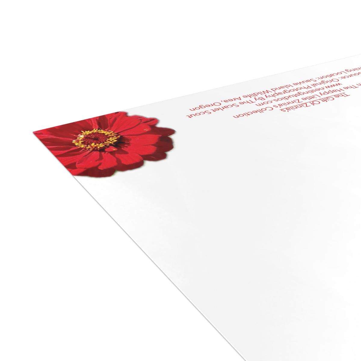 Festive Elegance Greeting Cards (1, 10, 30, and 50pcs)