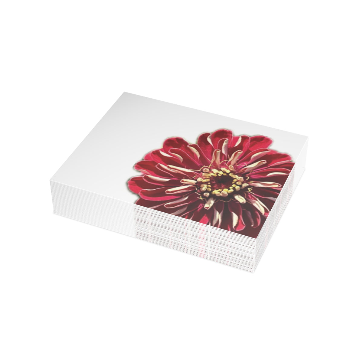 Festive Elegance Greeting Cards (1, 10, 30, and 50pcs)