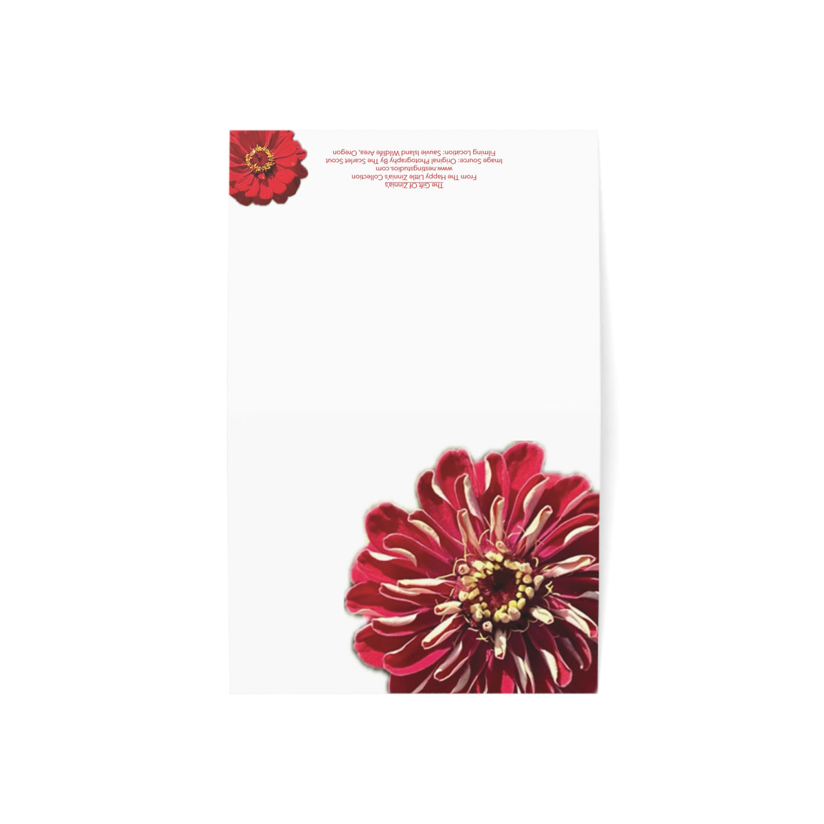 Festive Elegance Greeting Cards (1, 10, 30, and 50pcs)