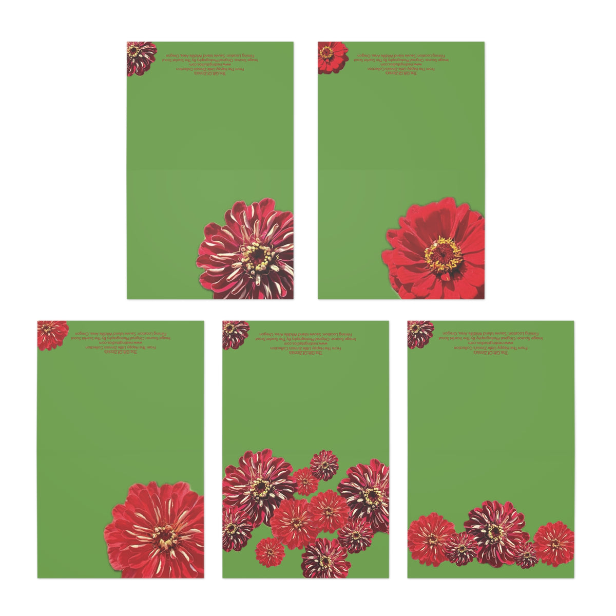 Festive Elegance Greeting Cards - 5-Pack