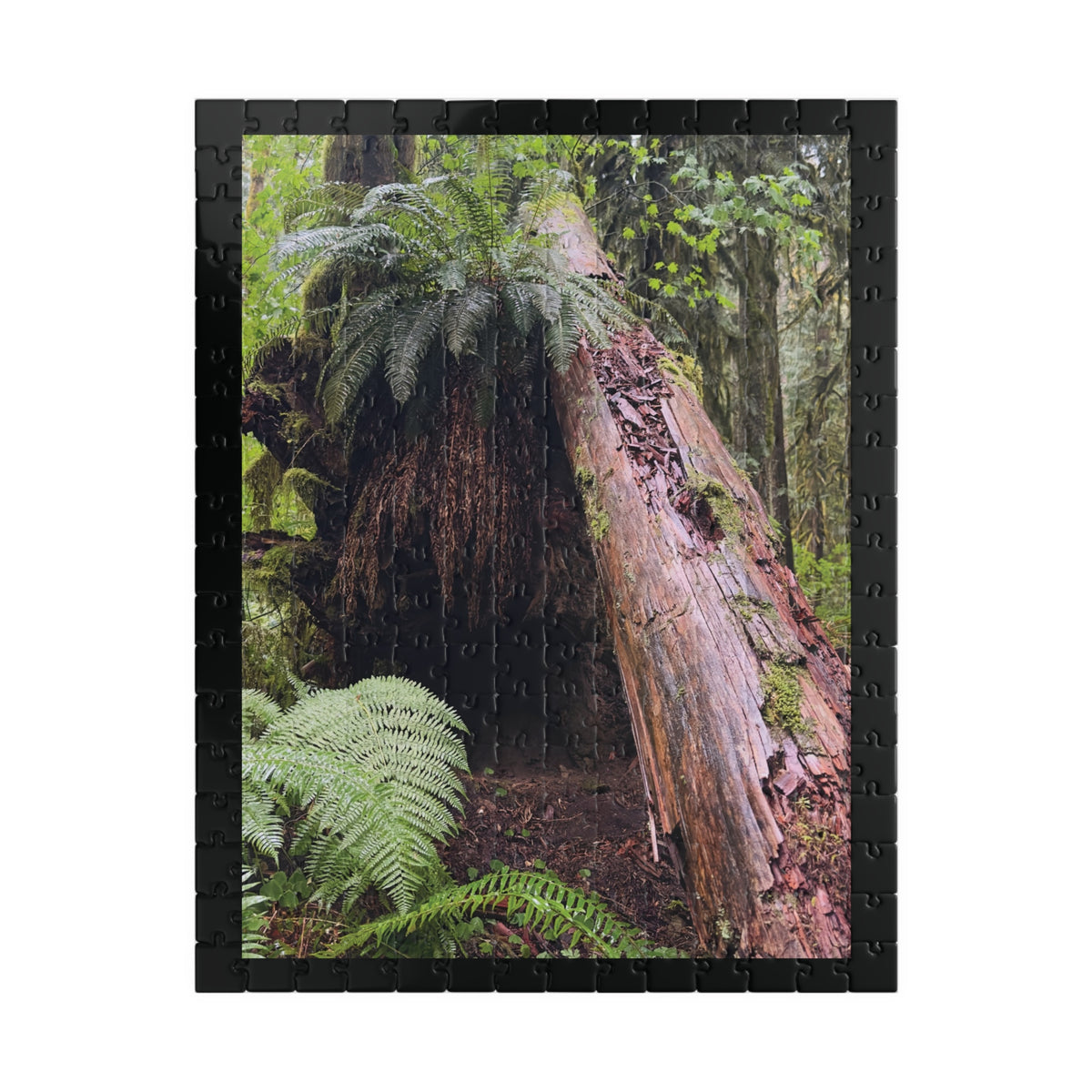 Oregon Rain Forest Puzzle - 252, 520 Pieces