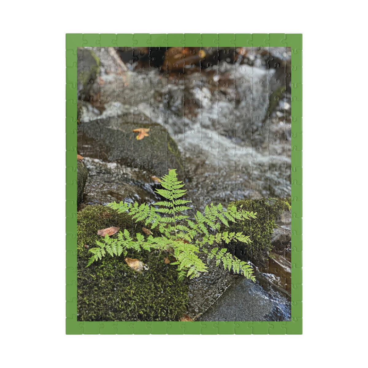 Cutest Fern EVER Puzzle - 252, 520 pieces