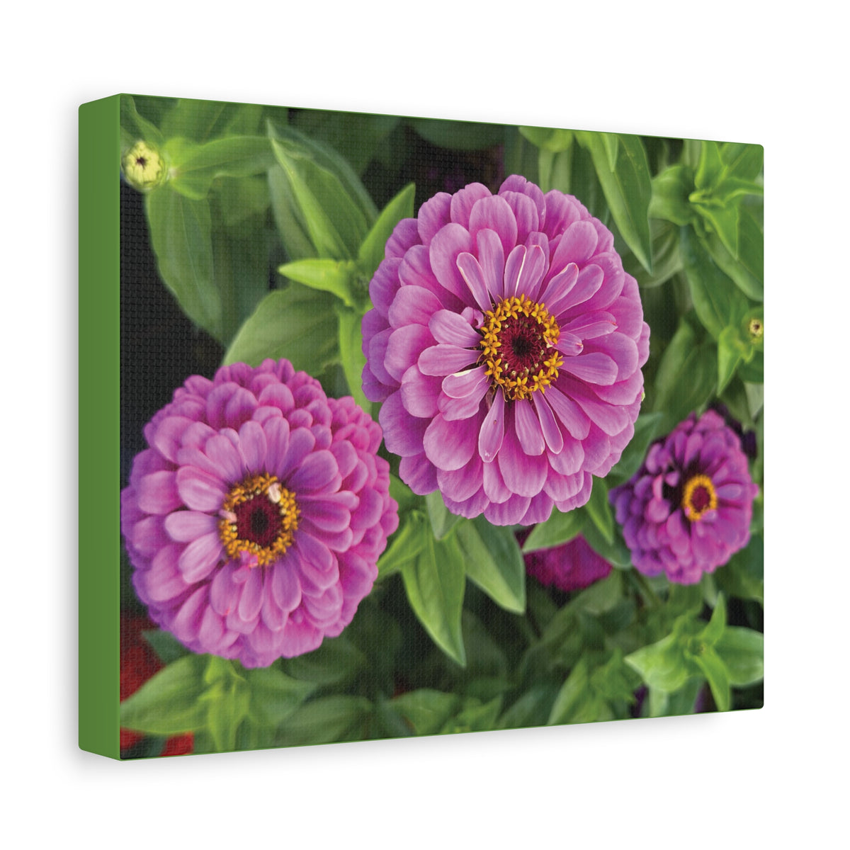 Pretty In Pink Matte Canvas - 1.25", Stretched