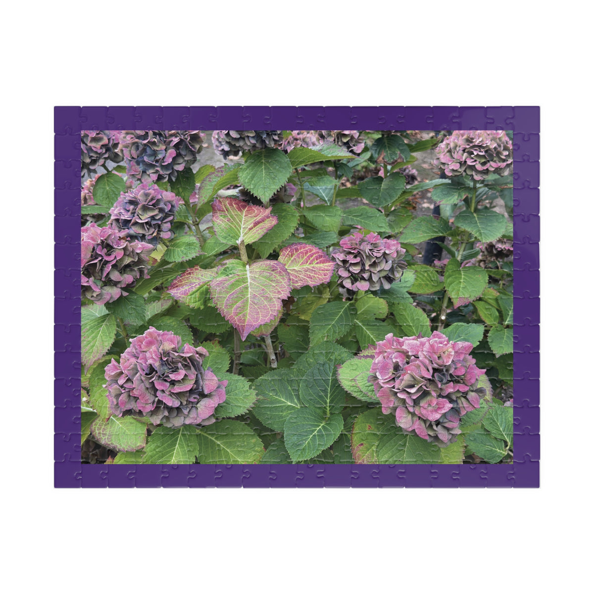Happy Hydrangea Puzzle - 252, 520 pieces