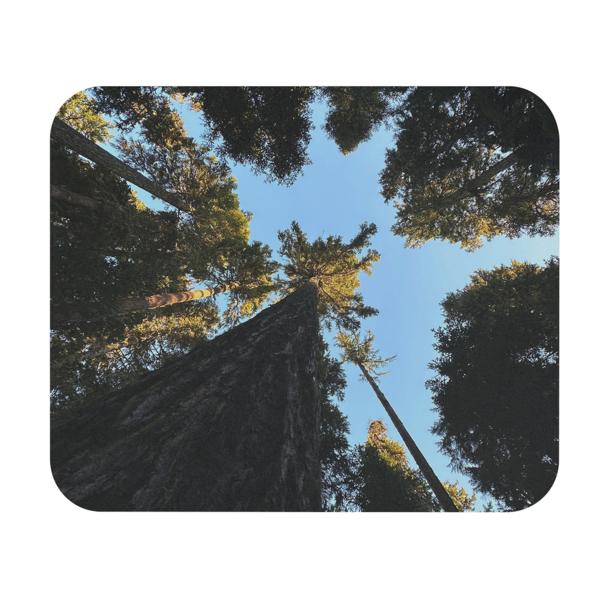 Pacific Northwest Forest Canopy Mouse Pad (Rectangle)