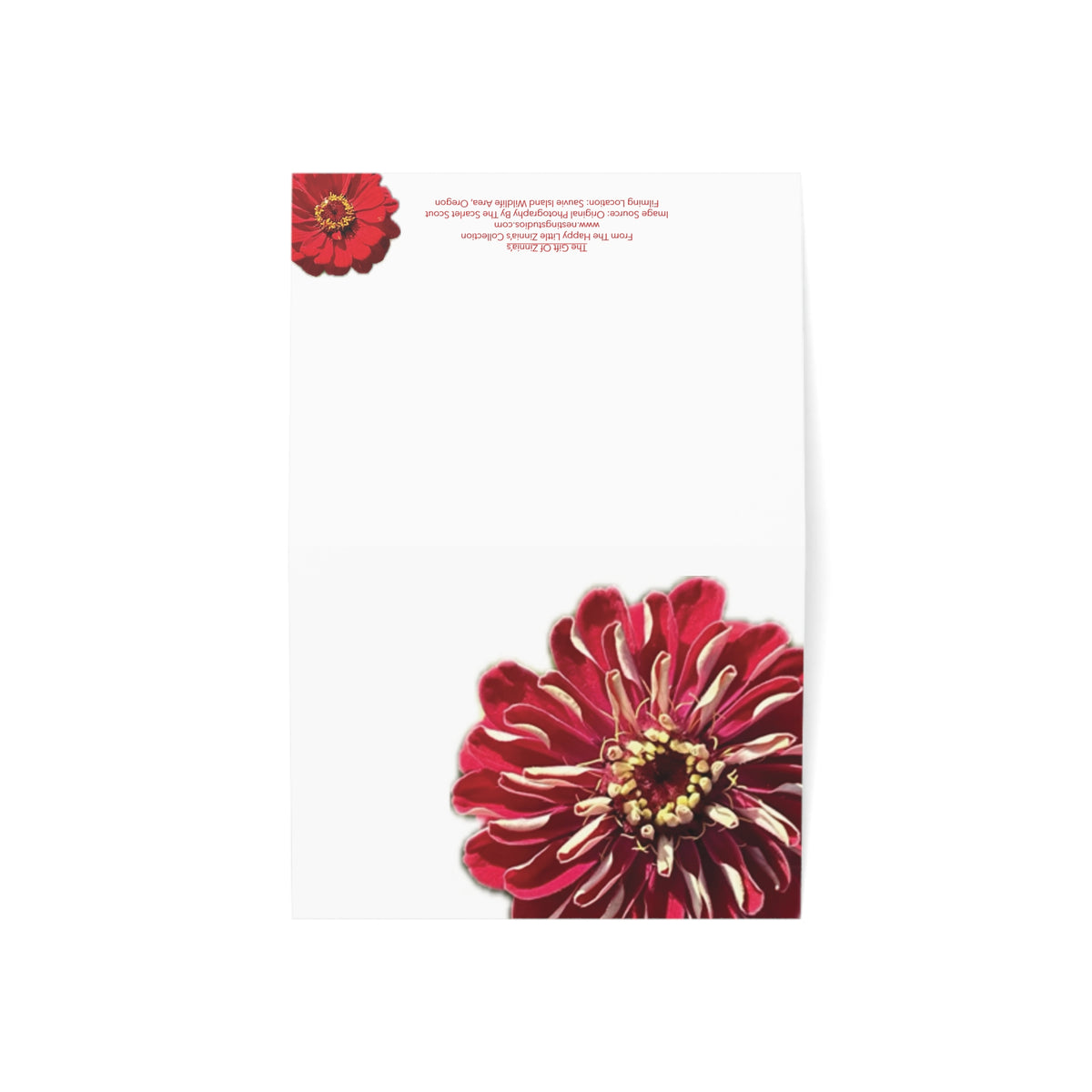 Festive Elegance Greeting Cards (1, 10, 30, and 50pcs)