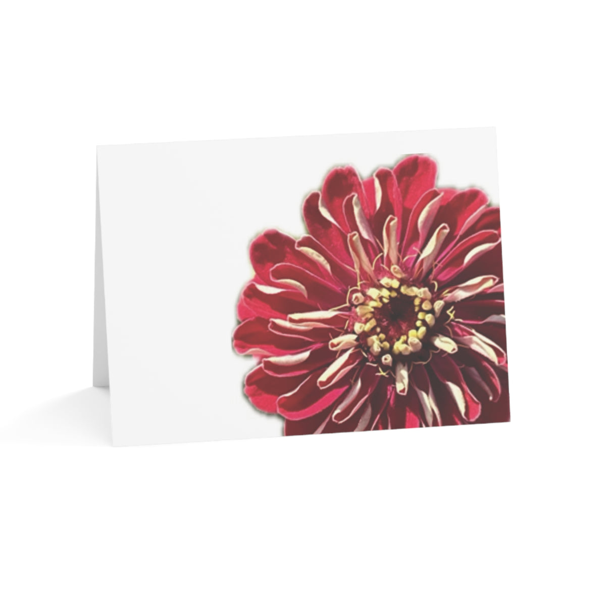 Festive Elegance Greeting Cards (1, 10, 30, and 50pcs)