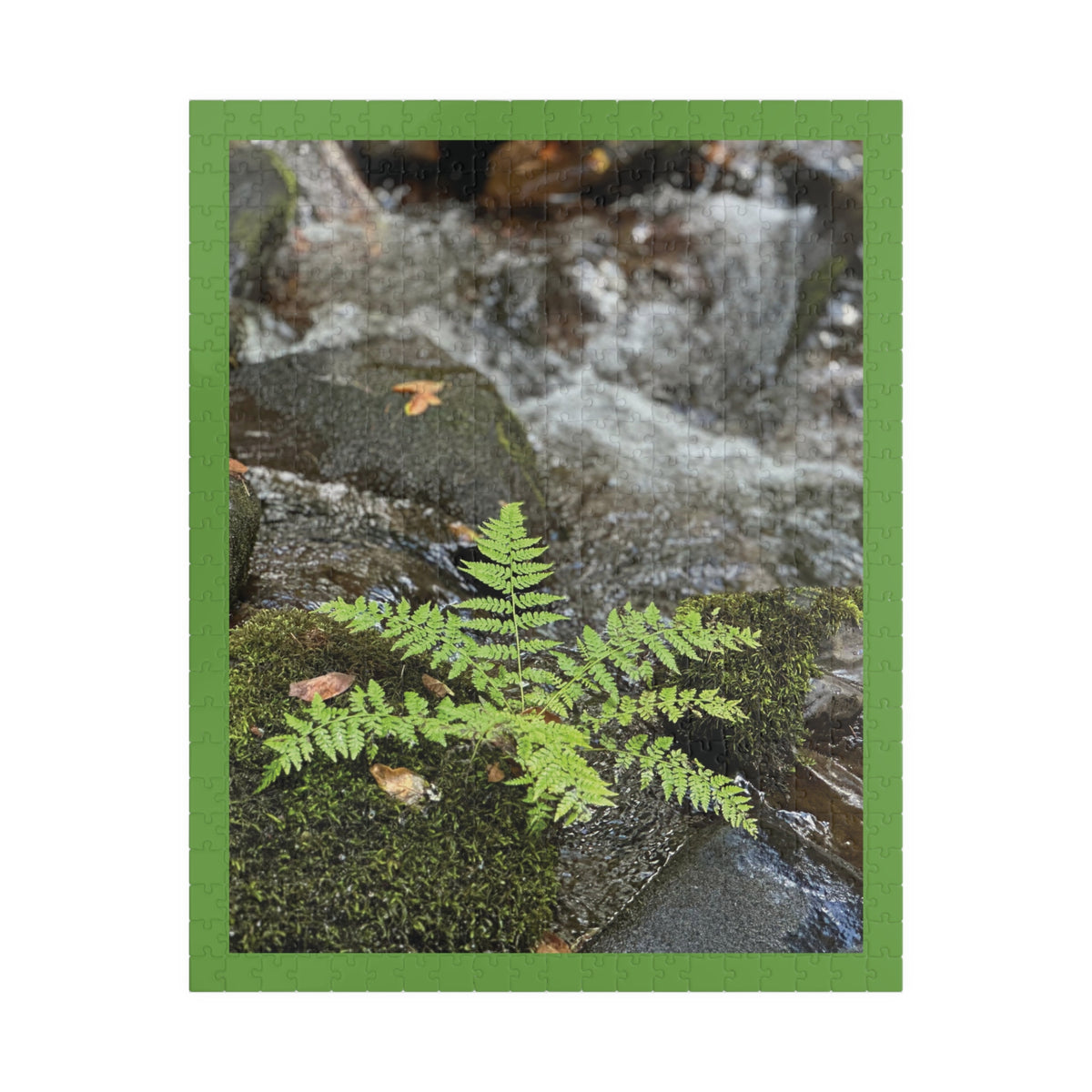 Cutest Fern EVER Puzzle - 252, 520 pieces