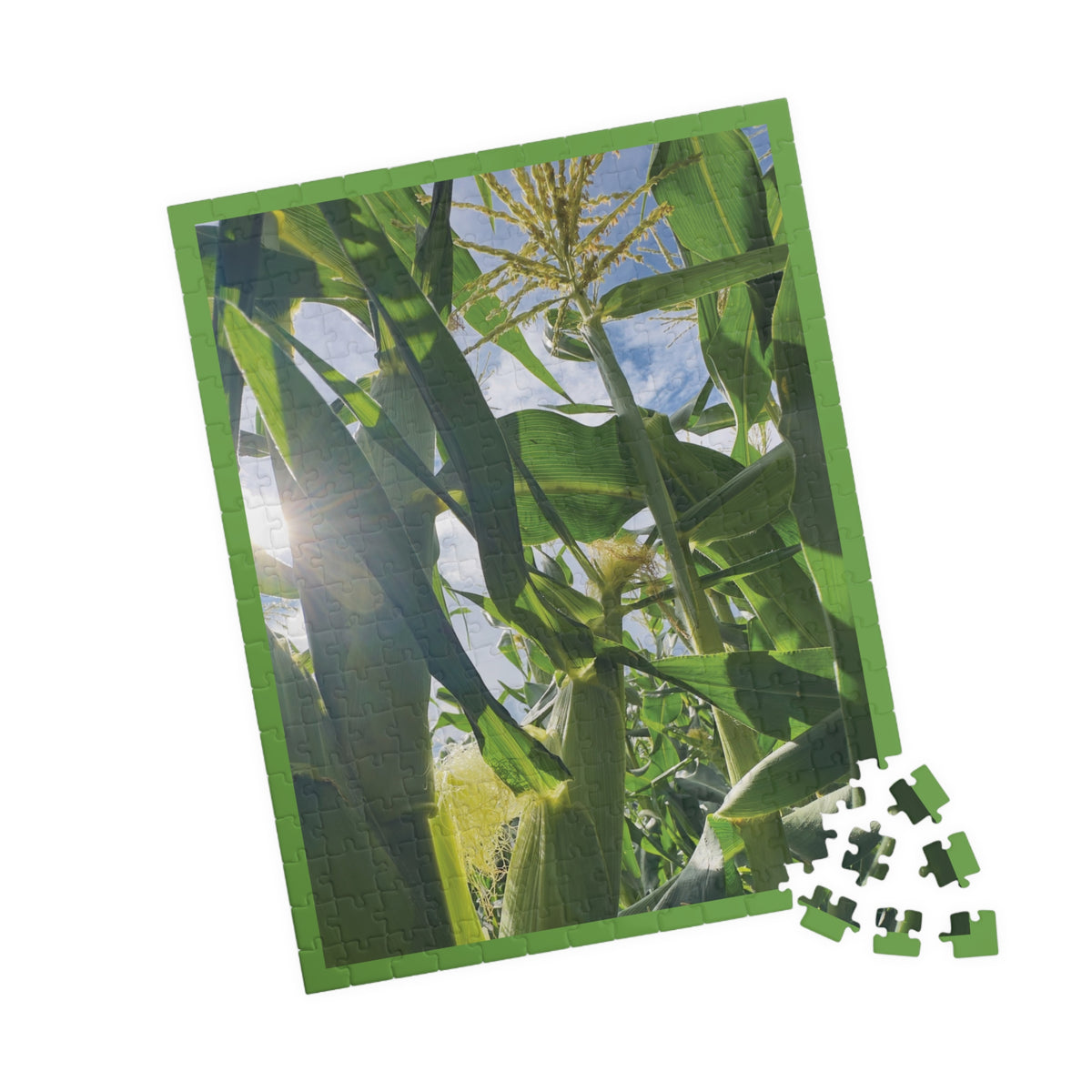 Sun Drenched Corn Field Puzzle - 252, 520 pieces