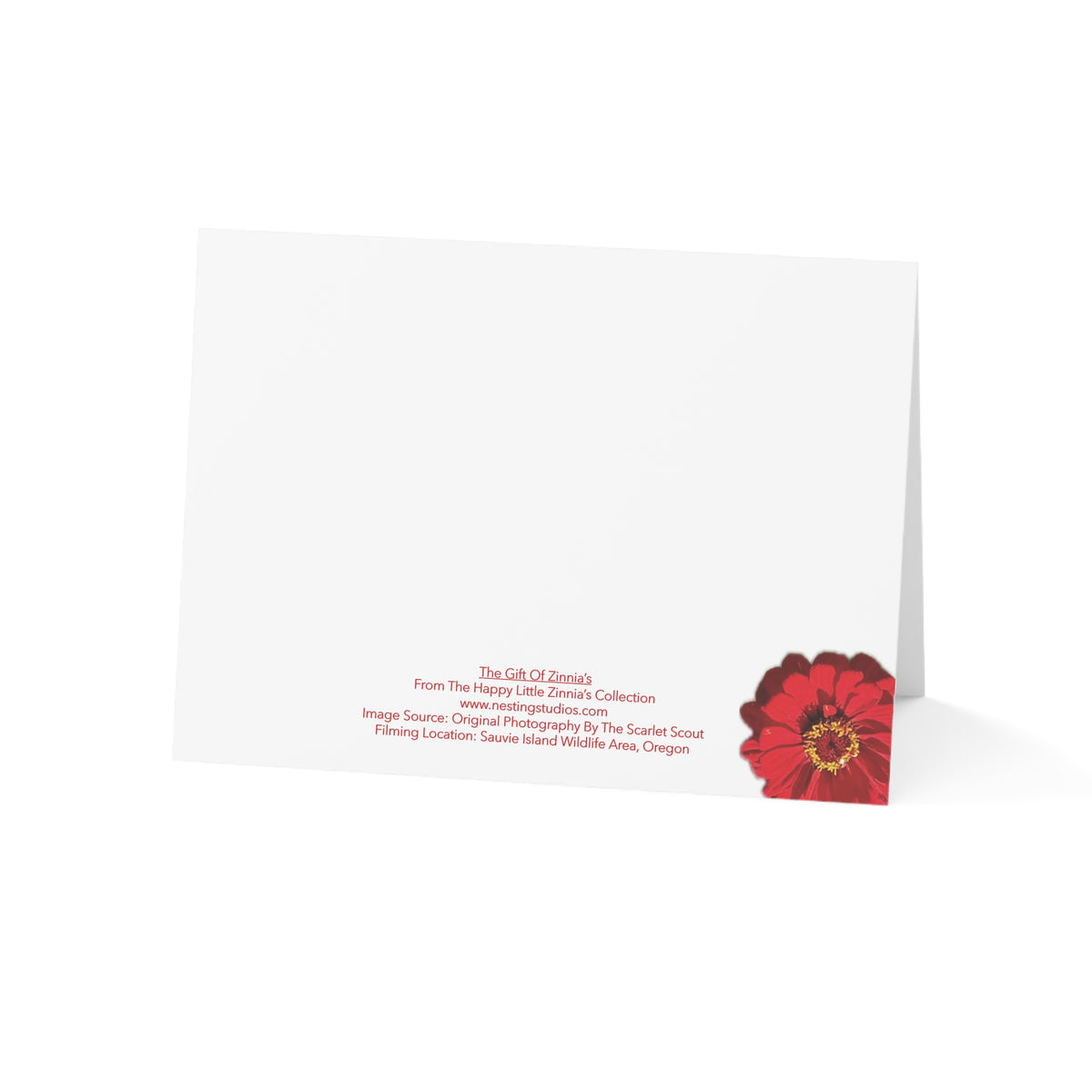 Festive Elegance Greeting Cards (1, 10, 30, and 50pcs)