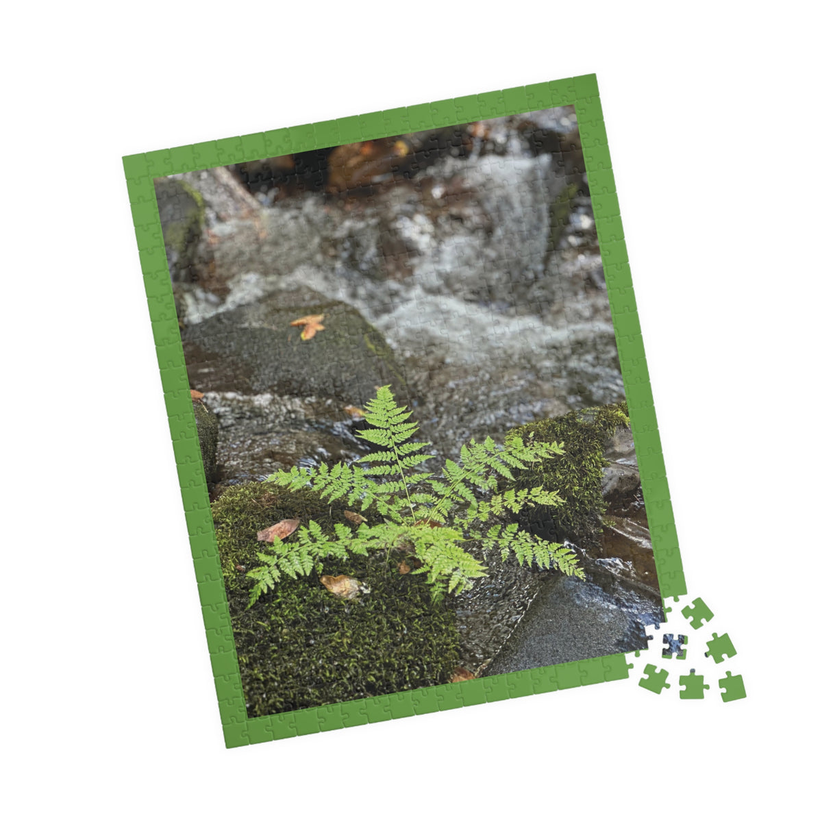 Cutest Fern EVER Puzzle - 252, 520 pieces