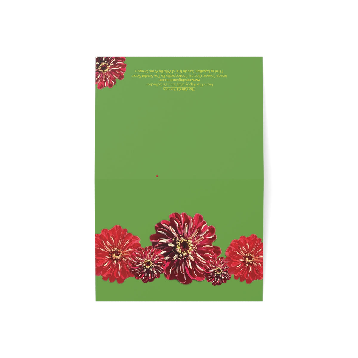 Festive Elegance Greeting Cards - 1, 10, 30, and 50 qty