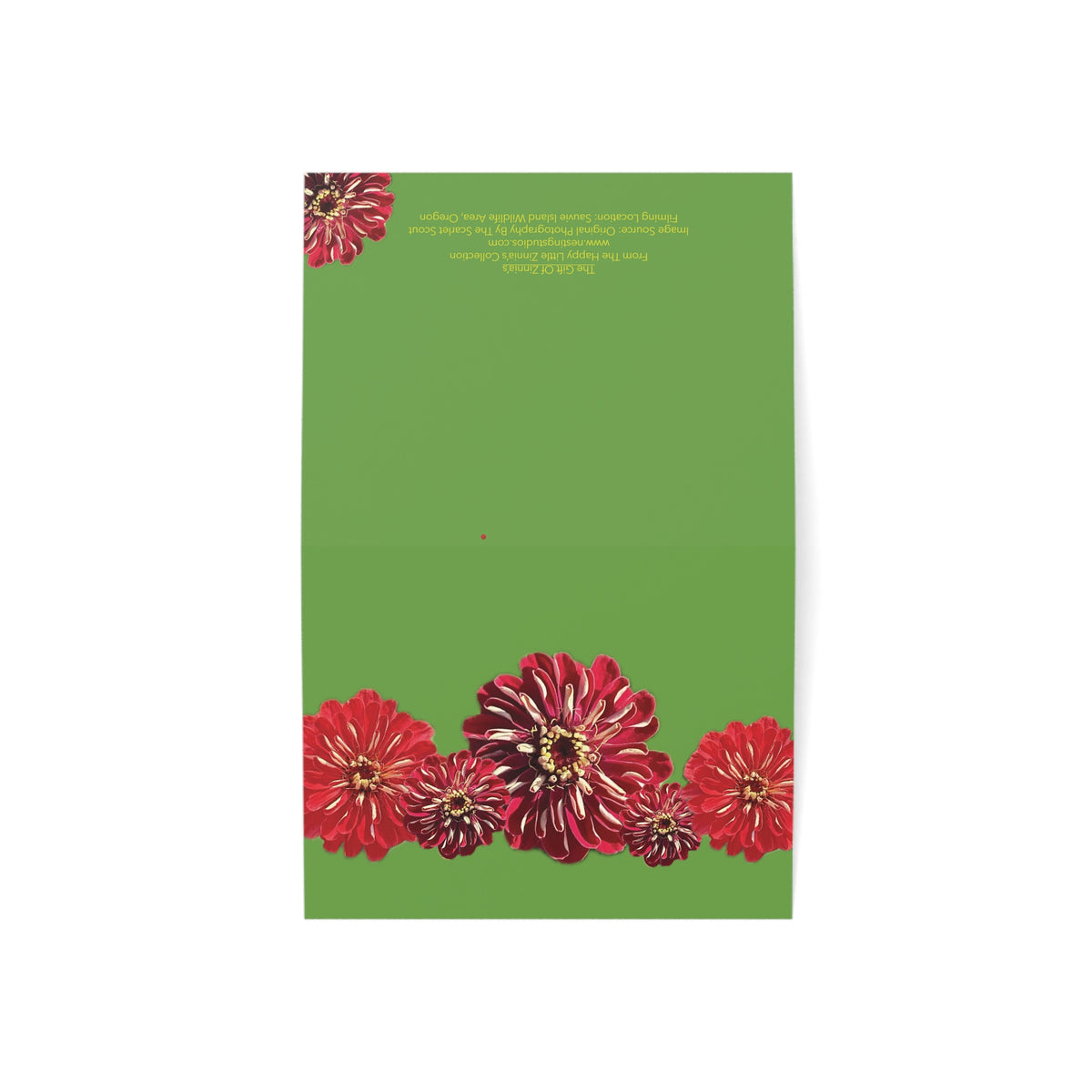 Festive Elegance Greeting Cards - 1, 10, 30, and 50 qty