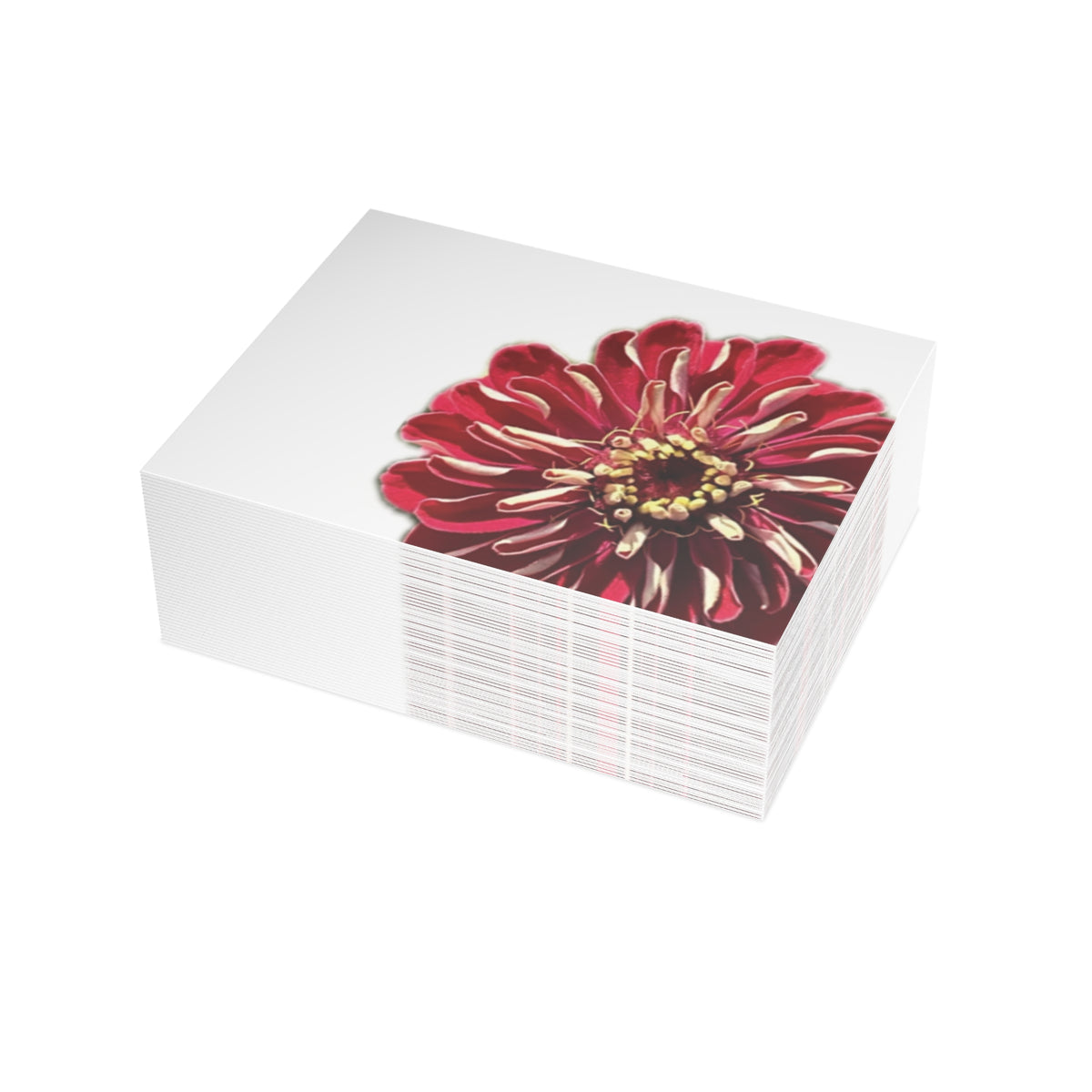 Festive Elegance Greeting Cards (1, 10, 30, and 50pcs)