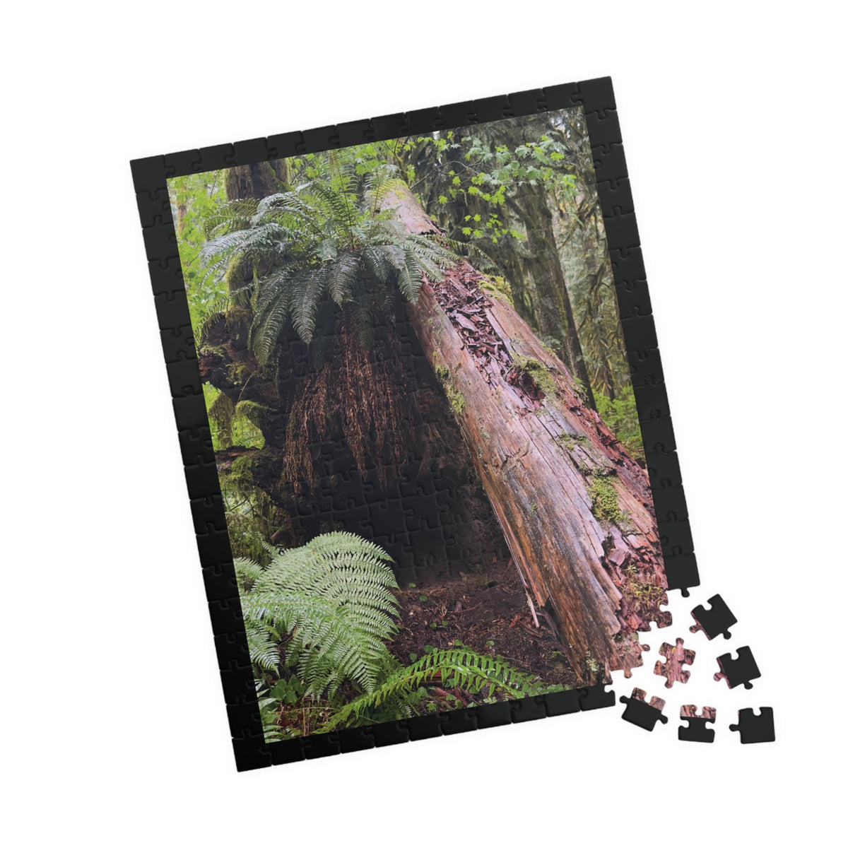 Oregon Rain Forest Puzzle - 252, 520 Pieces