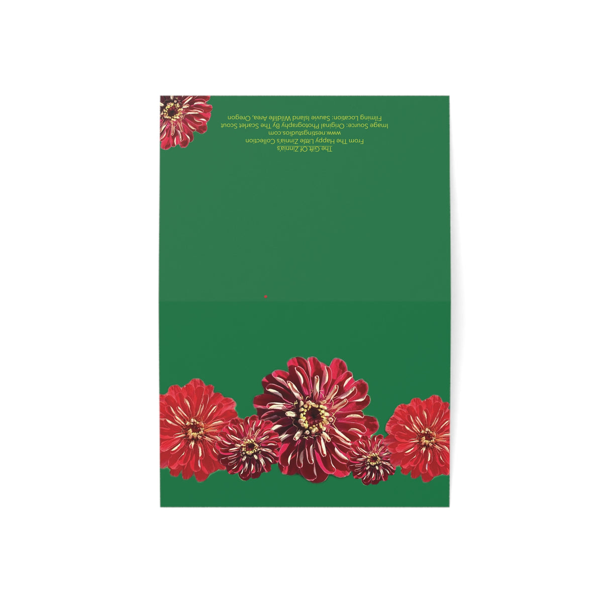Festive Elegance Greeting Cards - 1, 10, 30, and 50 qty