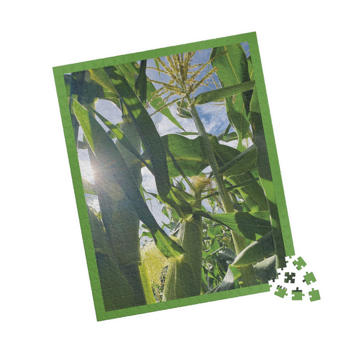 Sun Drenched Corn Field Puzzle - 252, 520 pieces