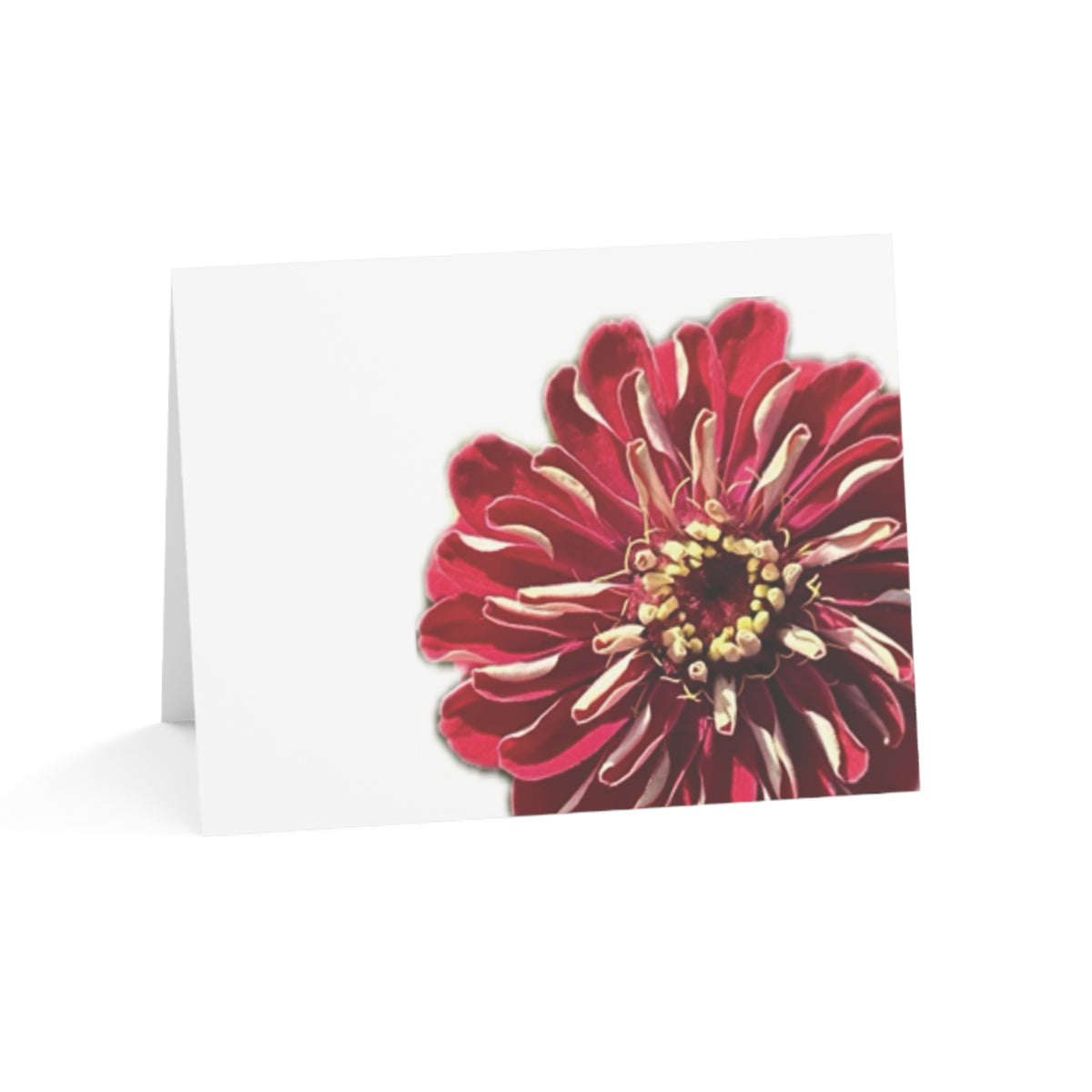 Festive Elegance Greeting Cards (1, 10, 30, and 50pcs)