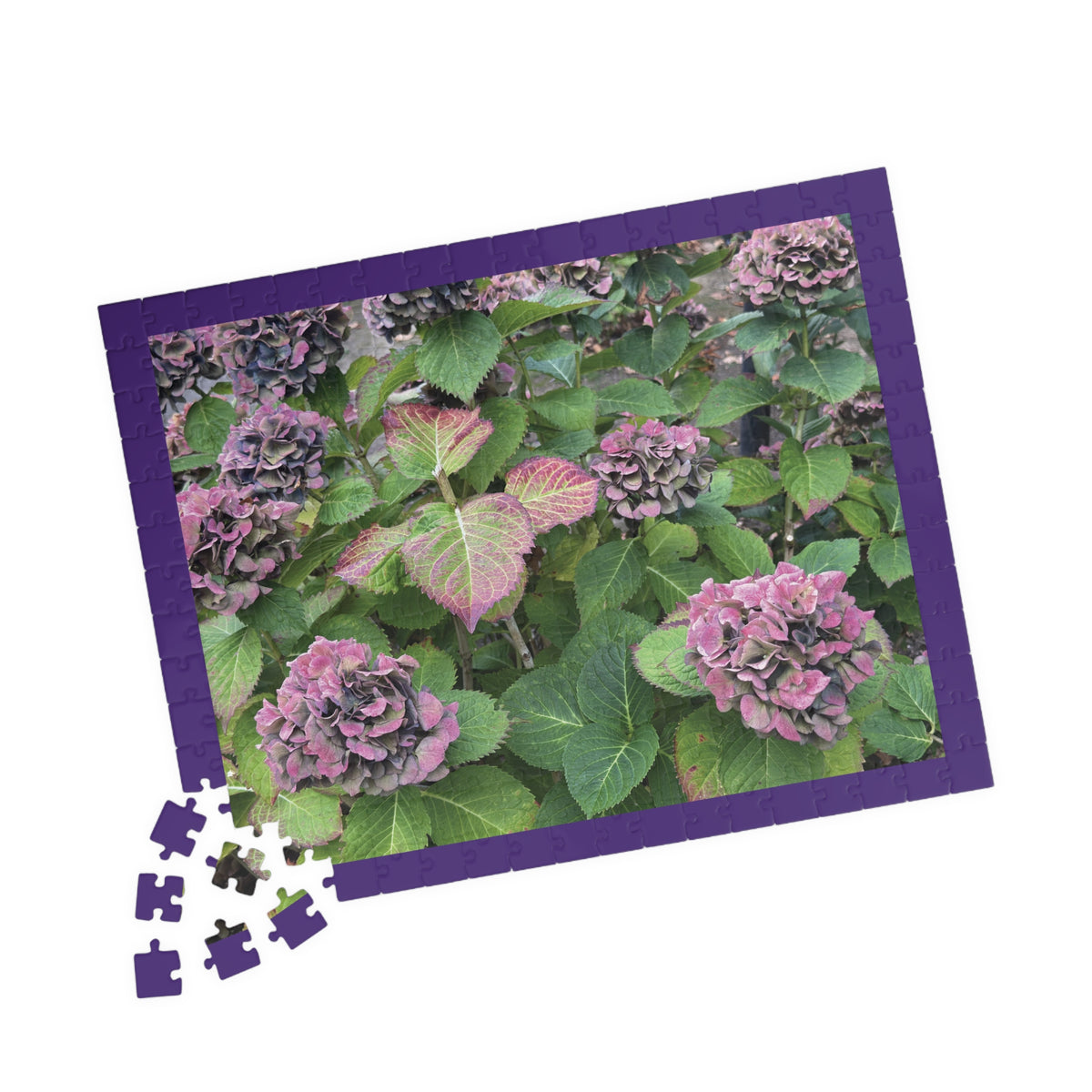 Happy Hydrangea Puzzle - 252, 520 pieces