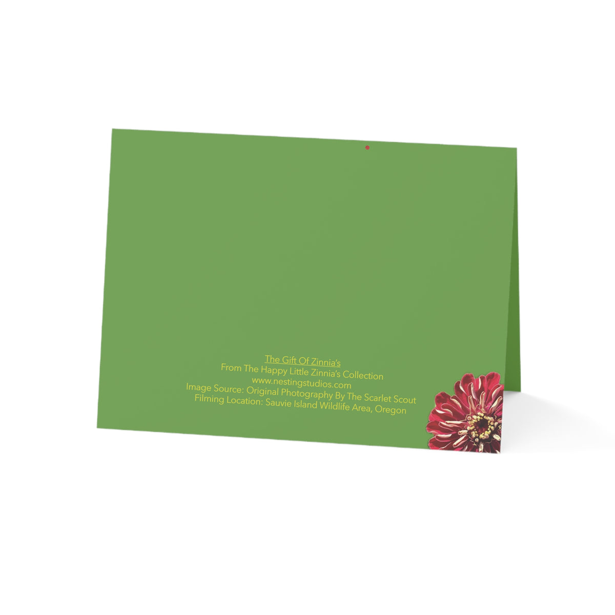 Festive Elegance Greeting Cards - 1, 10, 30, and 50 qty