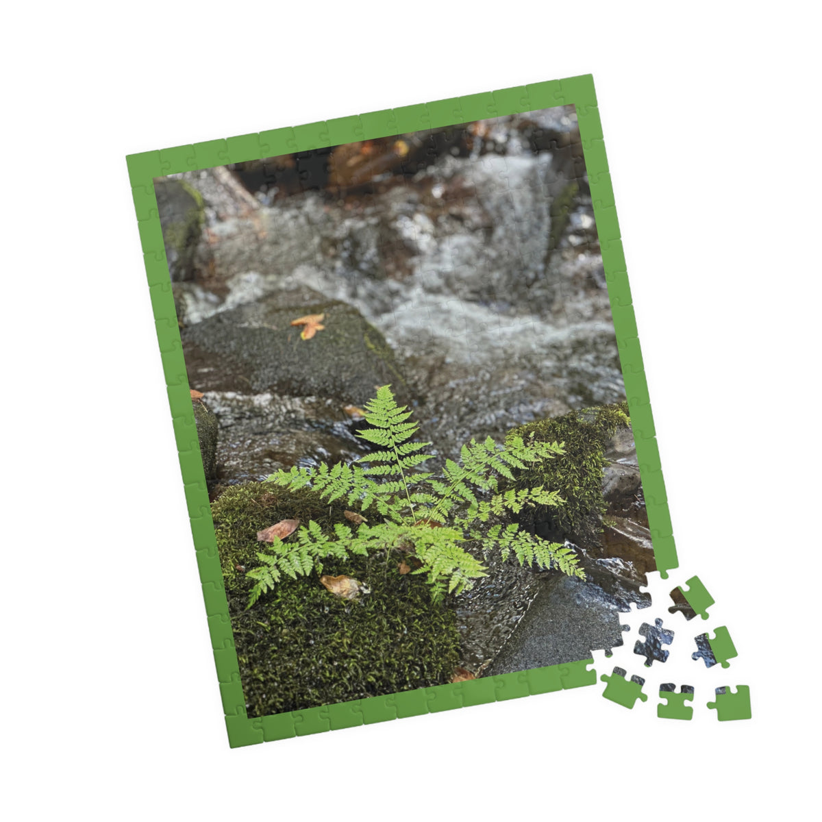 Cutest Fern EVER Puzzle - 252, 520 pieces