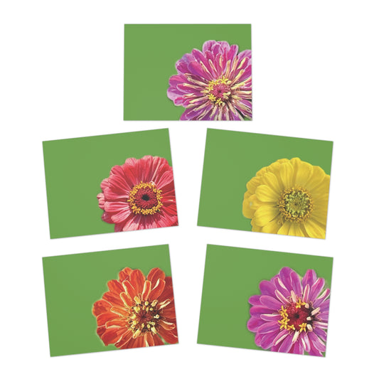 Zinnias In Full Bloom Greeting Cards (5-Pack)