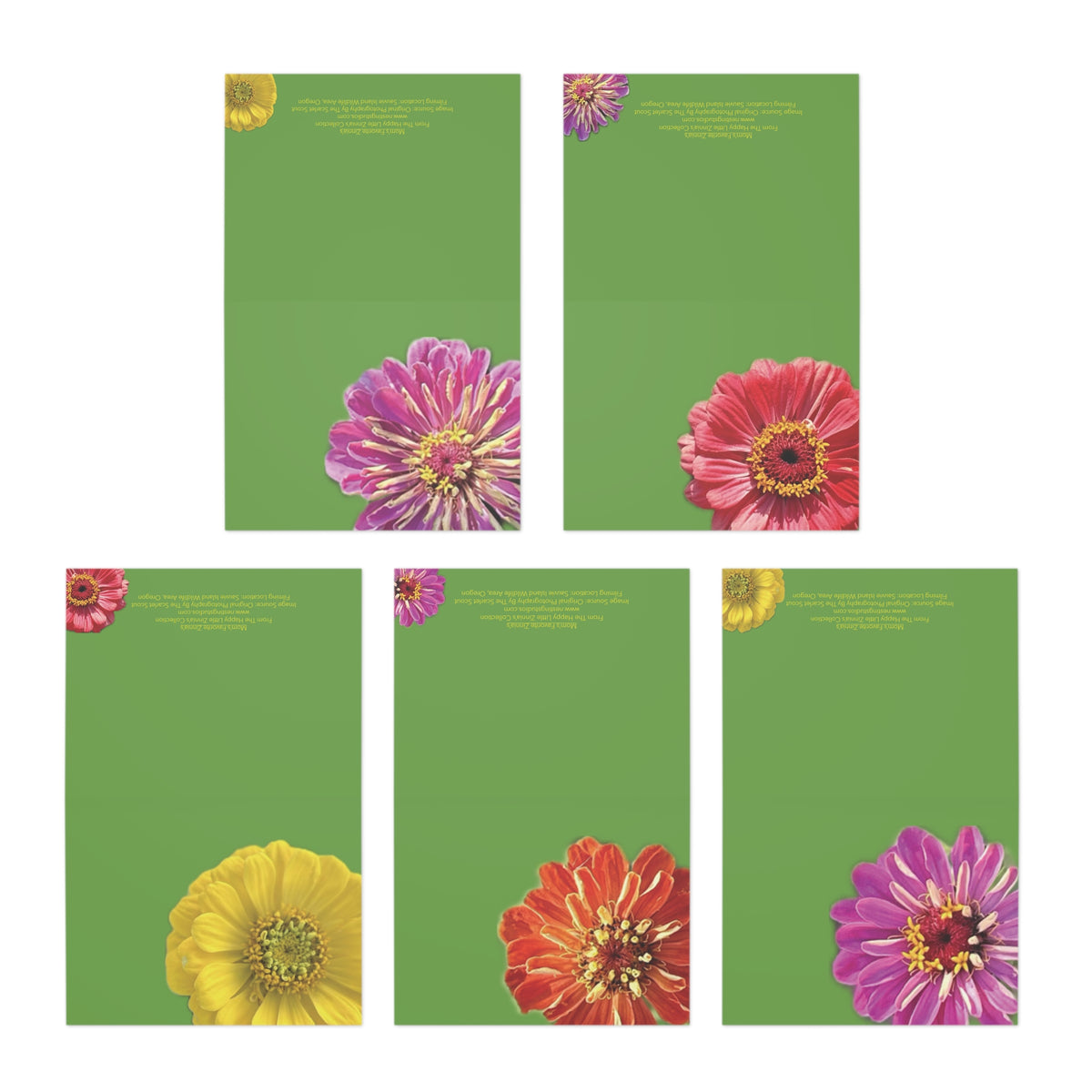 Zinnias In Full Bloom Greeting Cards (5-Pack)